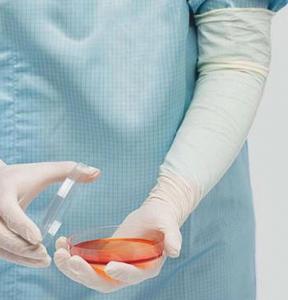 luvas cirúrgicas de látex